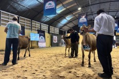 jersey_2023_03