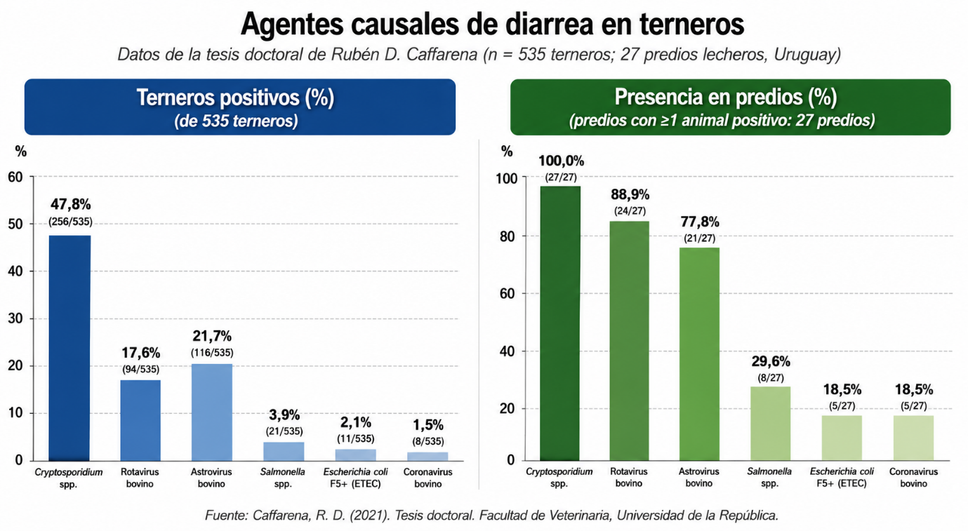 img_agentes_causales_de_diarreas